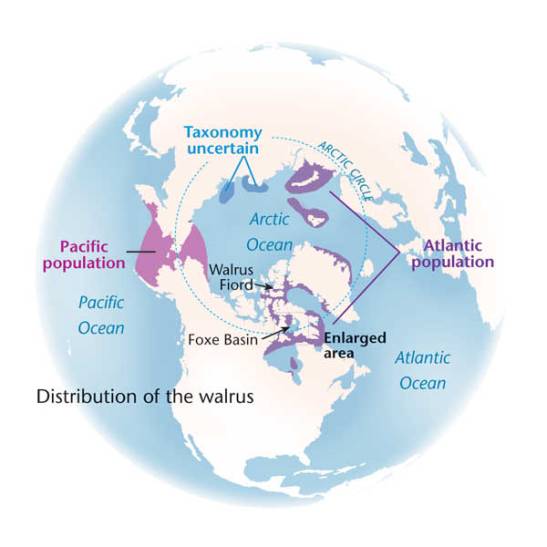 Range map obtained at Canadian Geographic.