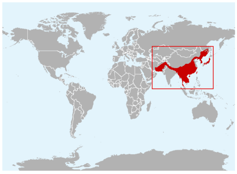 Asiatic black bear range.  Range map courtesy of IUCN. 