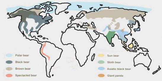 Slovak Wildlife Society Esther Tyson, Svetlana Beťková 