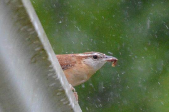 Still not sure of me