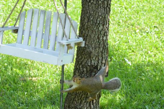 1016677_10201519837787386_1742663677_n