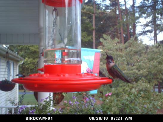 313282_2294213284362_7971484_n