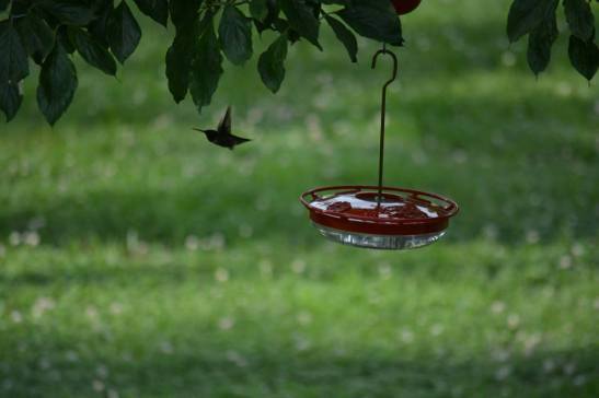 968798_10201526180665954_1535920556_n